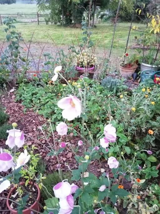 Les Hortensias La Souris Des Champs Étival-Clairefontaine Kültér fotó