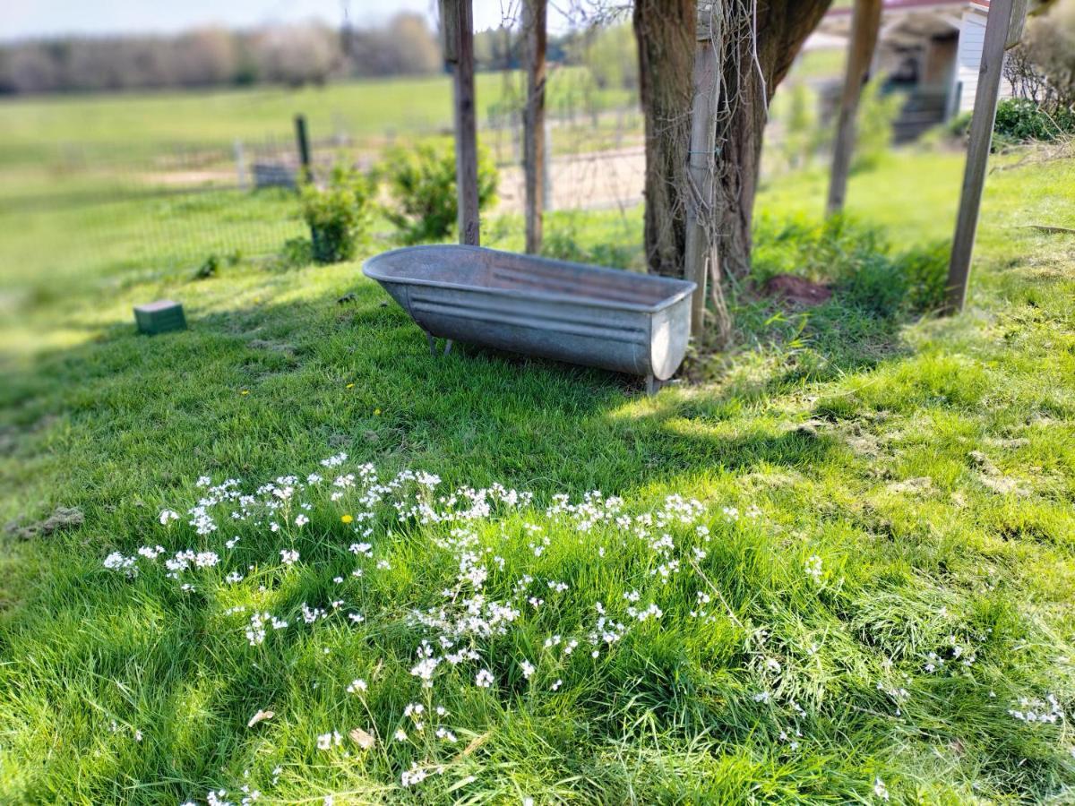 Les Hortensias La Souris Des Champs Étival-Clairefontaine Kültér fotó