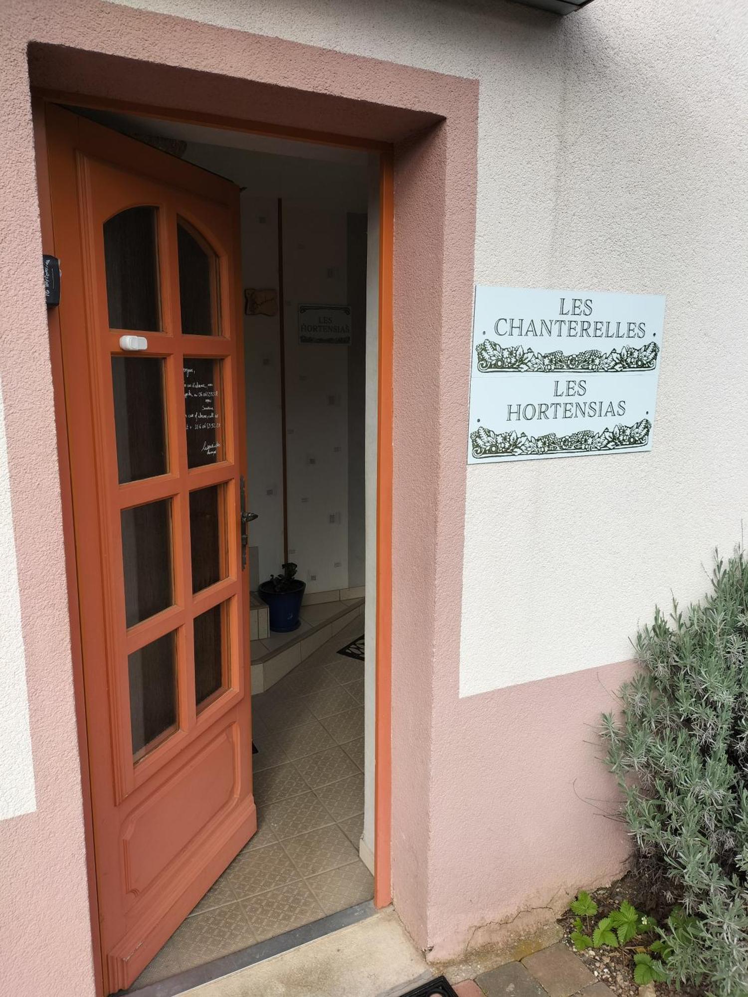 Les Hortensias La Souris Des Champs Étival-Clairefontaine Kültér fotó