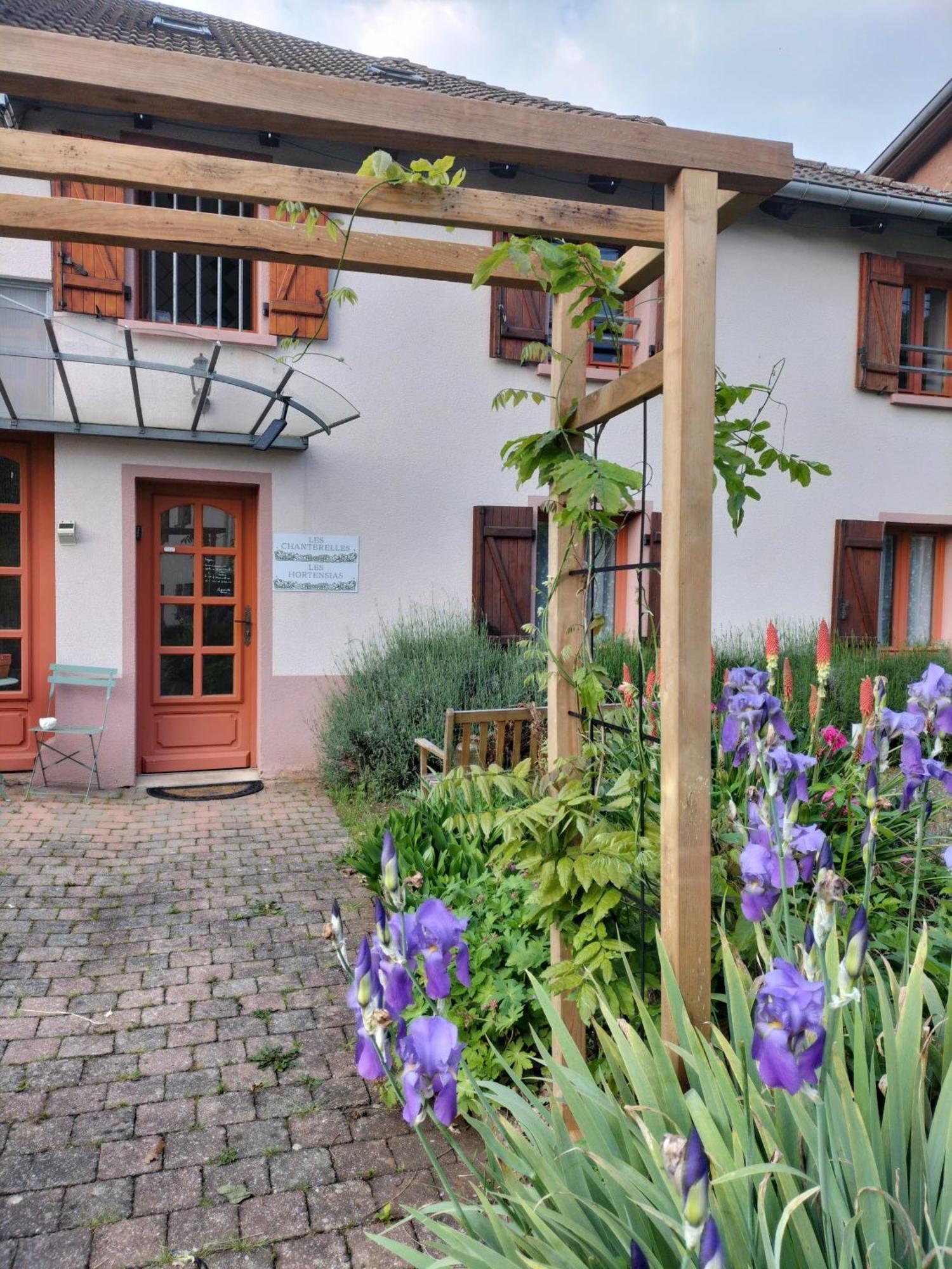 Les Hortensias La Souris Des Champs Étival-Clairefontaine Kültér fotó